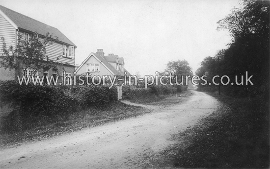 The Village, Blackmore, Essex. c.1915